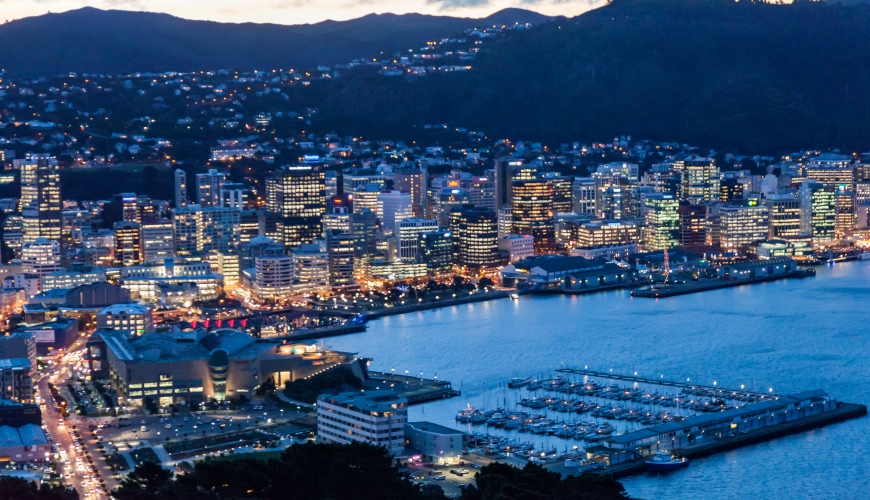 Wellington City at dusk from Mount Victoria